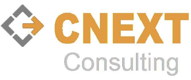 CNEXT Consulting